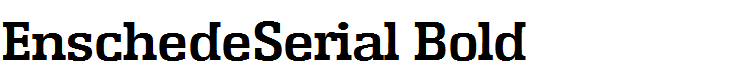 EnschedeSerial Bold
