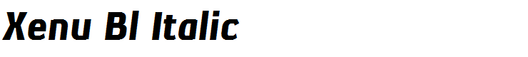 Xenu Bl Italic